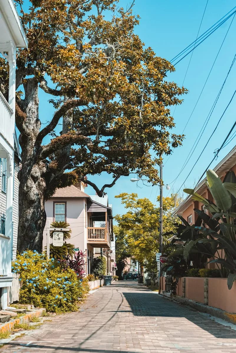Tree-lined street in Boise, Idaho